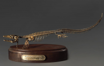 Модель скелета мозазавра Mosasaurus - «globural.ru» - Томск