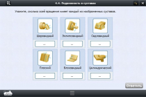 Интерактивные курсы. Биология 8 класс. Расширенный - «globural.ru» - Томск