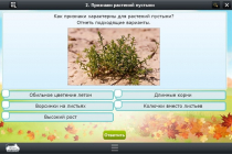 Интерактивные курсы. Окружающий мир 3 класс. Базовый - «globural.ru» - Томск