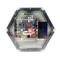 Модуль интерактивный с искусственным интеллектом "Интеллектуальная биология" - «globural.ru» - Томск