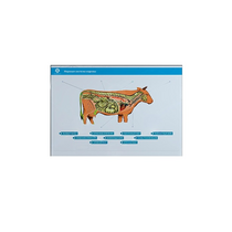 Стенд-планшет светодинамический "Изучение нервной системы сельскохозяйственных животных" со сменными панелями - «globural.ru» - Томск