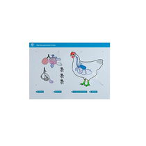 Стенд-планшет светодинамический "Изучение органов дыхания сельскохозяйственных животных" со сменными панелями - «globural.ru» - Томск