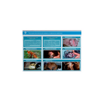 Стенд-планшет светодинамический "Изучение типических патологических процессов в организмах животных" - «globural.ru» - Томск