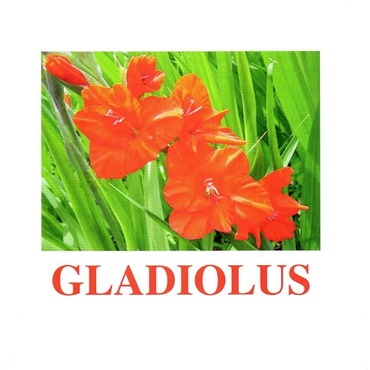 "Flowers-1" ("Цветы-1") английские карточки Домана - «globural.ru» - Томск