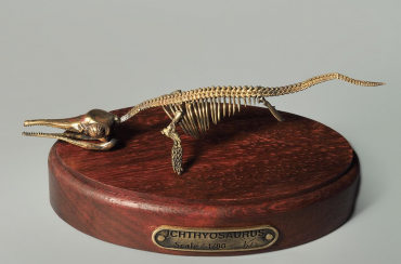 Модель скелета ихтиозавра Ichthyosaurus - «globural.ru» - Томск