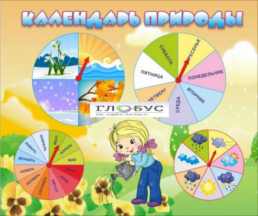 Стенд "Календарь природы" (вариант 1) - «globural.ru» - Томск