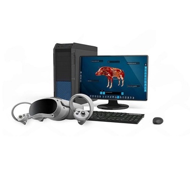 Интерактивный учебный комплекс «Анатомия Свиньи» - «globural.ru» - Томск