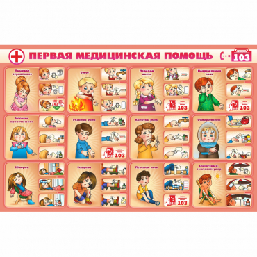 Стенд "Первая помощь" - «globural.ru» - Томск
