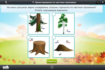 Интерактивные курсы. Окружающий мир 1 класс. Базовый - «globural.ru» - Томск
