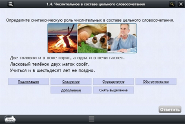 Интерактивные курсы. Русский язык 6 класс. Базовый - «globural.ru» - Томск