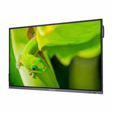 Интерактивный программно-аппаратный комплекс Geckotouch Interactive IP75GT-C в комплекте с настенным креплением - «globural.ru» - Томск