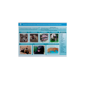 Стенд-планшет светодинамический «Острые отравления животных лекарственными препаратами» - «globural.ru» - Томск