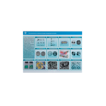 Стенд-планшет светодинамический «Изучение систематики и номенклатуры микроорганизмов» - «globural.ru» - Томск